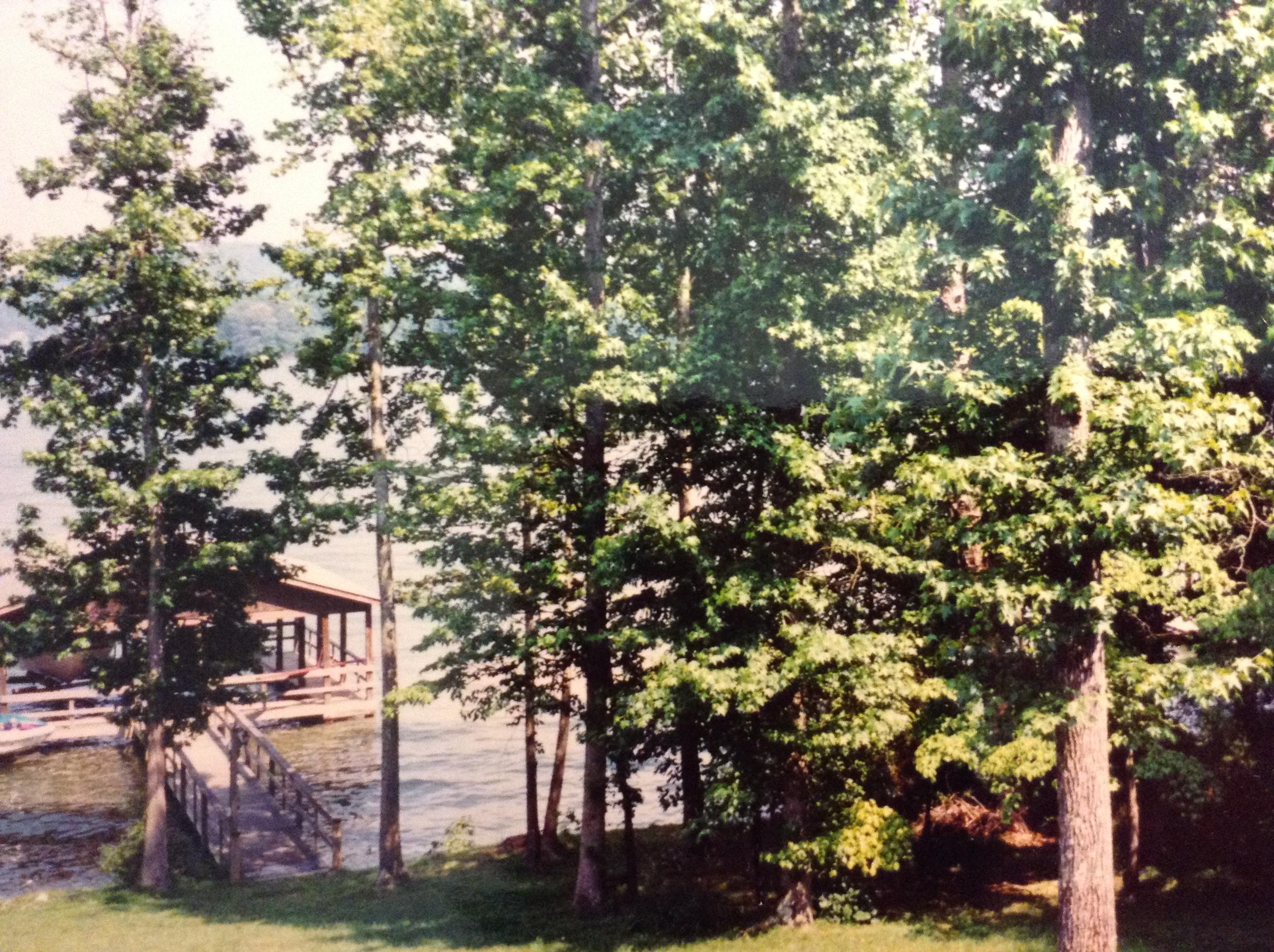 9006 Rocky Point Road Soddy Daisy, TN 37379 - Photo 53 of 53 boat dock