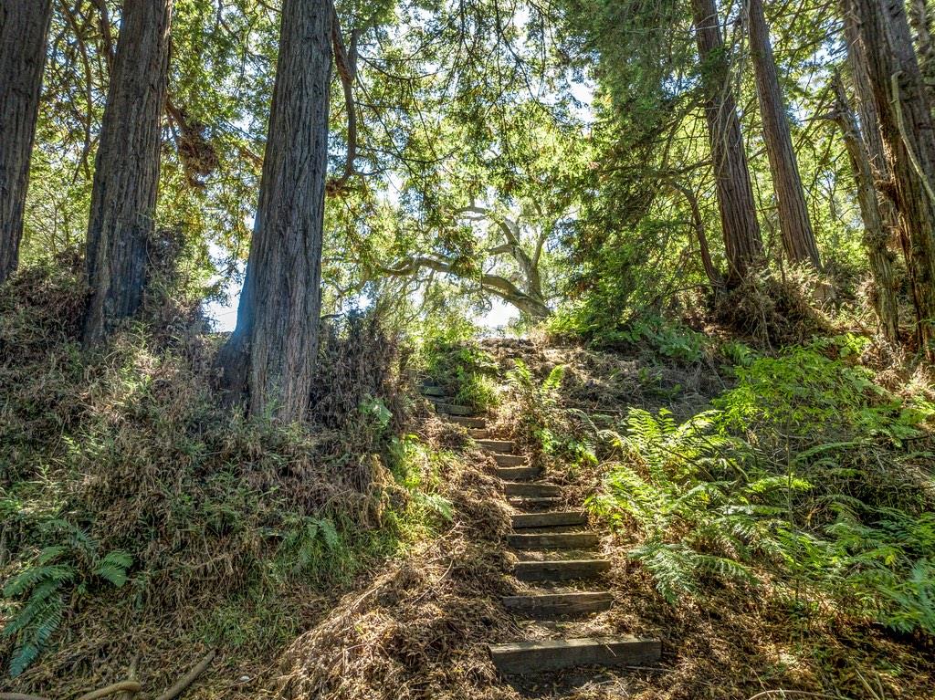 1000 Larkin Valley Road Watsonville, CA 95076 - Photo 94 of 100 Gallery Image 94