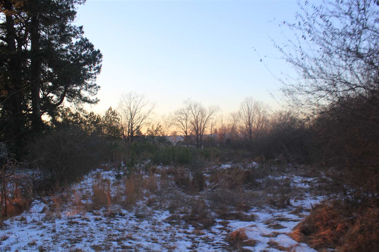 8412 Old Craft Road Olive Branch, MS 38654 - Photo 11 of 18 Gallery Image 11