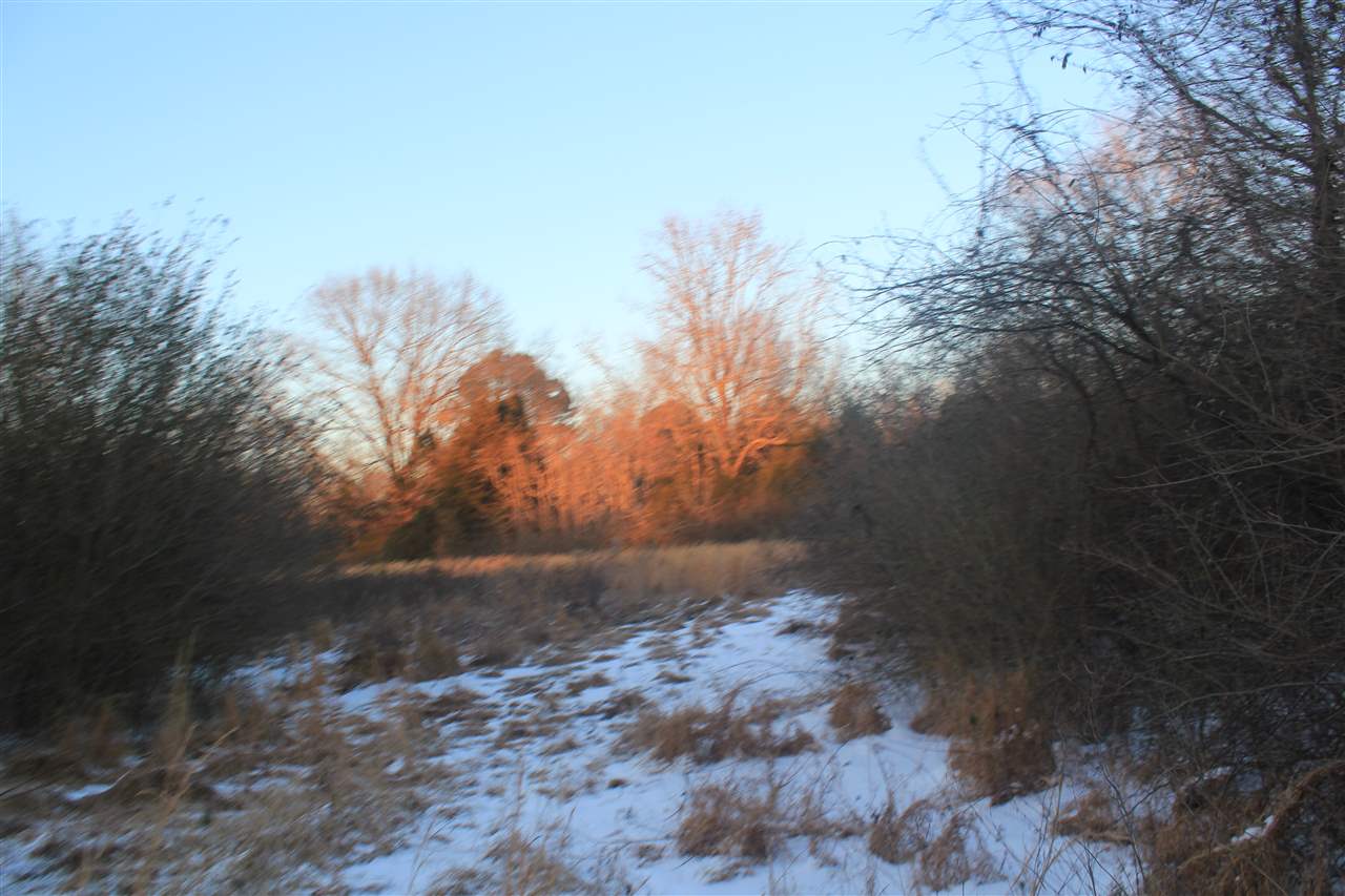 8412 Old Craft Road Olive Branch, MS 38654 - Photo 12 of 18 Gallery Image 12