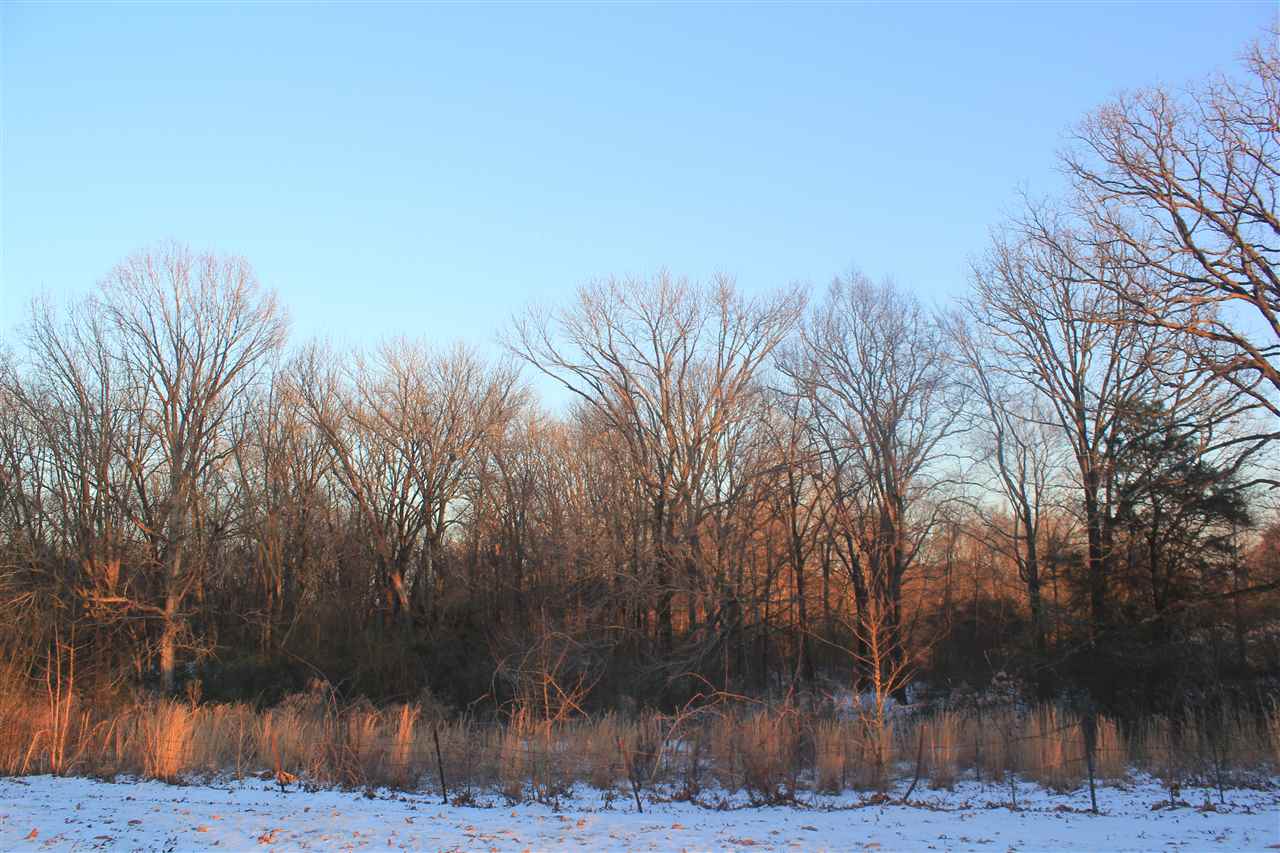 8412 Old Craft Road Olive Branch, MS 38654 - Photo 7 of 18 Gallery Image 7