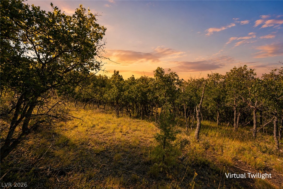 495 West Lutherwood Road Alton, UT 84710 - Photo 16 of 35 Golden hour illuminates a serene, wooded landscape, perfect for a private natural retreat.