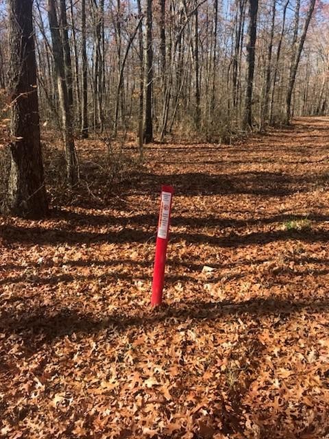 22 Lake Louisa Loop Monteagle, TN 37356 - Photo 11 of 21 Gallery Image 11