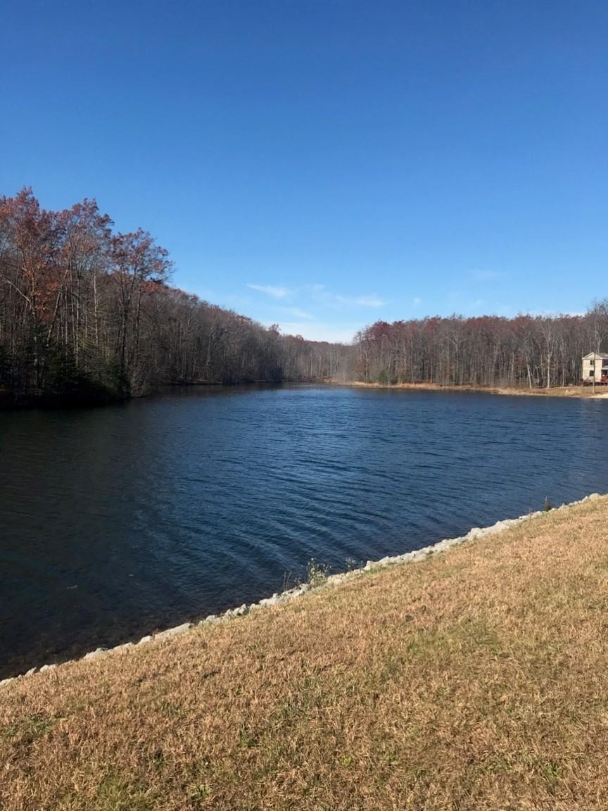 22 Lake Louisa Loop Monteagle, TN 37356 - Photo 14 of 21 Gallery Image 14