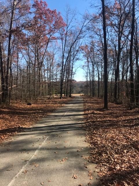 22 Lake Louisa Loop Monteagle, TN 37356 - Photo 19 of 21 Gallery Image 19