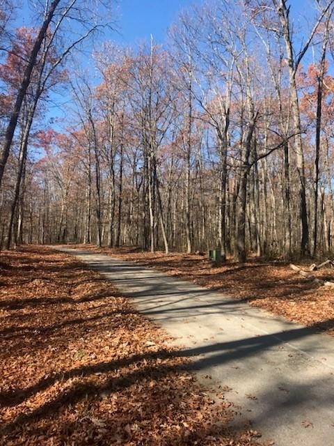 22 Lake Louisa Loop Monteagle, TN 37356 - Photo 20 of 21 Gallery Image 20