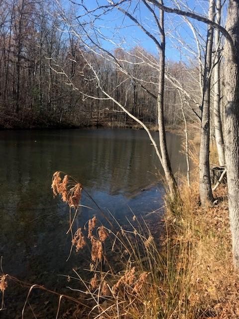22 Lake Louisa Loop Monteagle, TN 37356 - Photo 2 of 21 Gallery Image 2