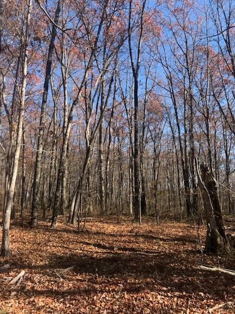 22 Lake Louisa Loop Monteagle, TN 37356 - Photo 3 of 21 Gallery Image 3