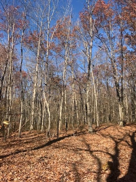 22 Lake Louisa Loop Monteagle, TN 37356 - Photo 4 of 21 Gallery Image 4