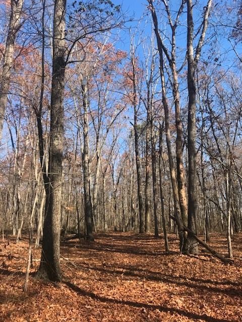 22 Lake Louisa Loop Monteagle, TN 37356 - Photo 5 of 21 Gallery Image 5
