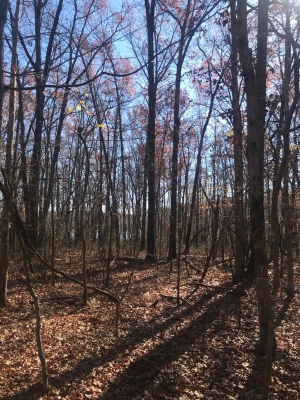 22 Lake Louisa Loop Monteagle, TN 37356 - Photo 6 of 21 Gallery Image 6