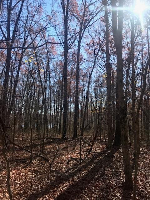 22 Lake Louisa Loop Monteagle, TN 37356 - Photo 8 of 21 Gallery Image 8