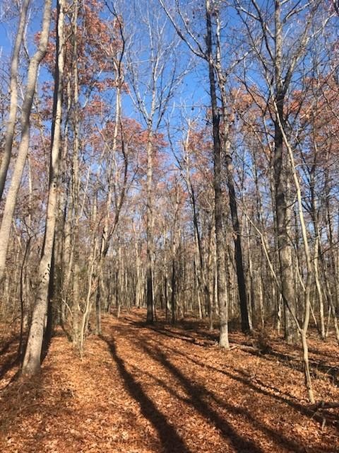 22 Lake Louisa Loop Monteagle, TN 37356 - Photo 9 of 21 Gallery Image 9