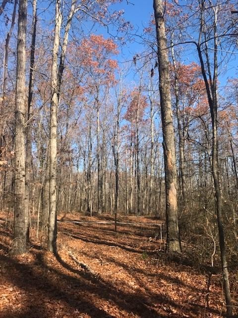 22 Lake Louisa Loop Monteagle, TN 37356 - Photo 10 of 21 Gallery Image 10