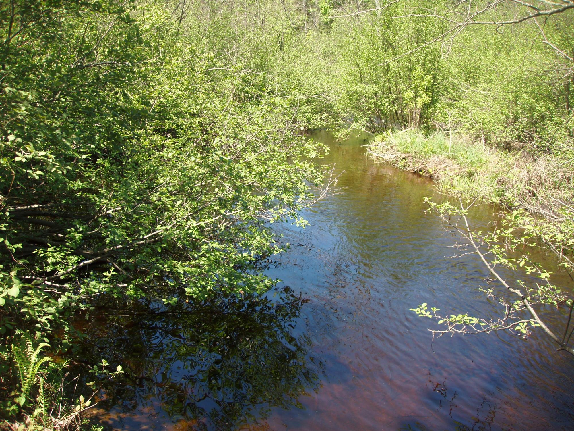 W9798 Fleming Road Park Falls, WI 54552 - Photo 13 of 74 Gallery Image 13