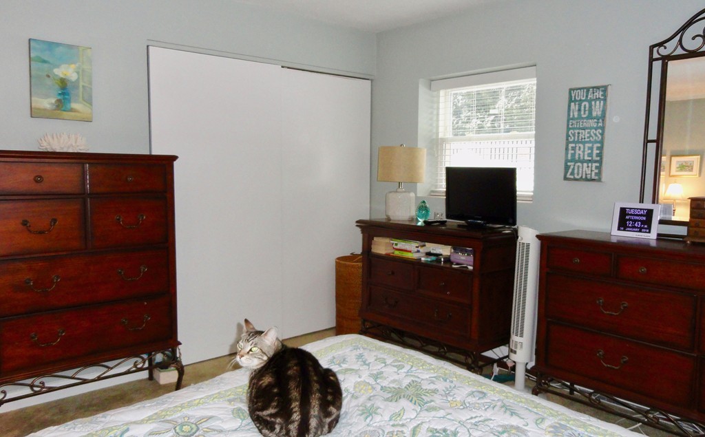 59 Prospect Street, Unit A4 Marblehead, MA 01945 - Photo 8 of 12