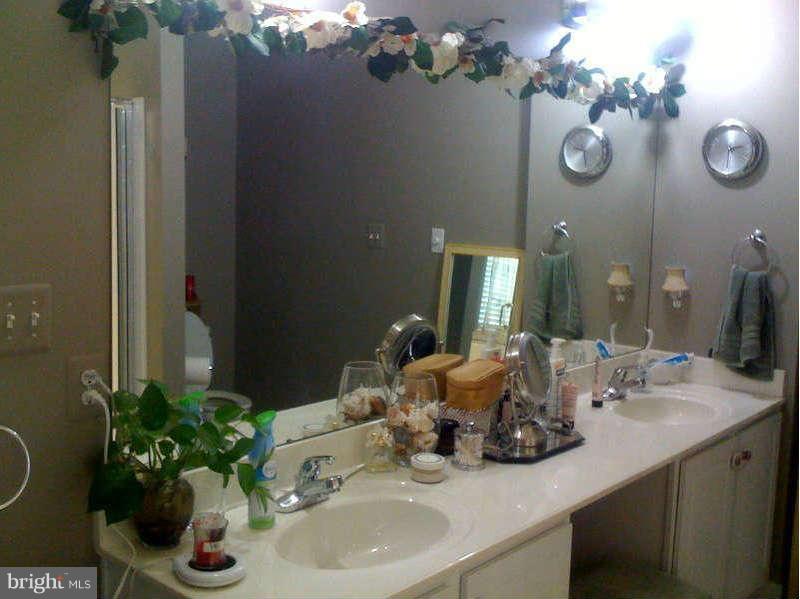 3900 Calico Circle Point of Rocks, MD 21777 - Photo 21 of 30 Bath (Master)