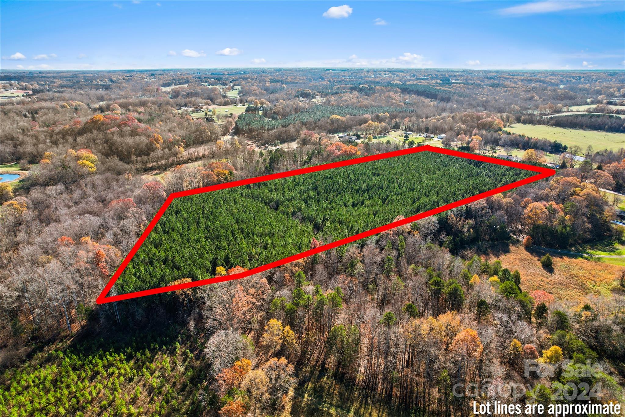 0 Brawley Road Cleveland, NC 27013 - Photo 8 of 14 Gallery Image 8
