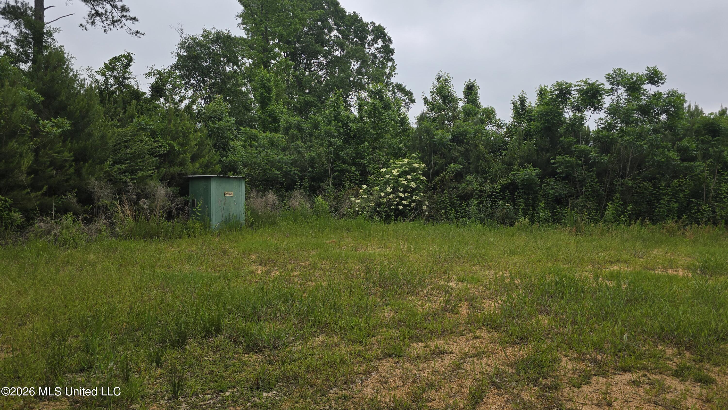 189 Co Road Bay Springs, MS 39422 - Photo 5 of 61 20260513_102713