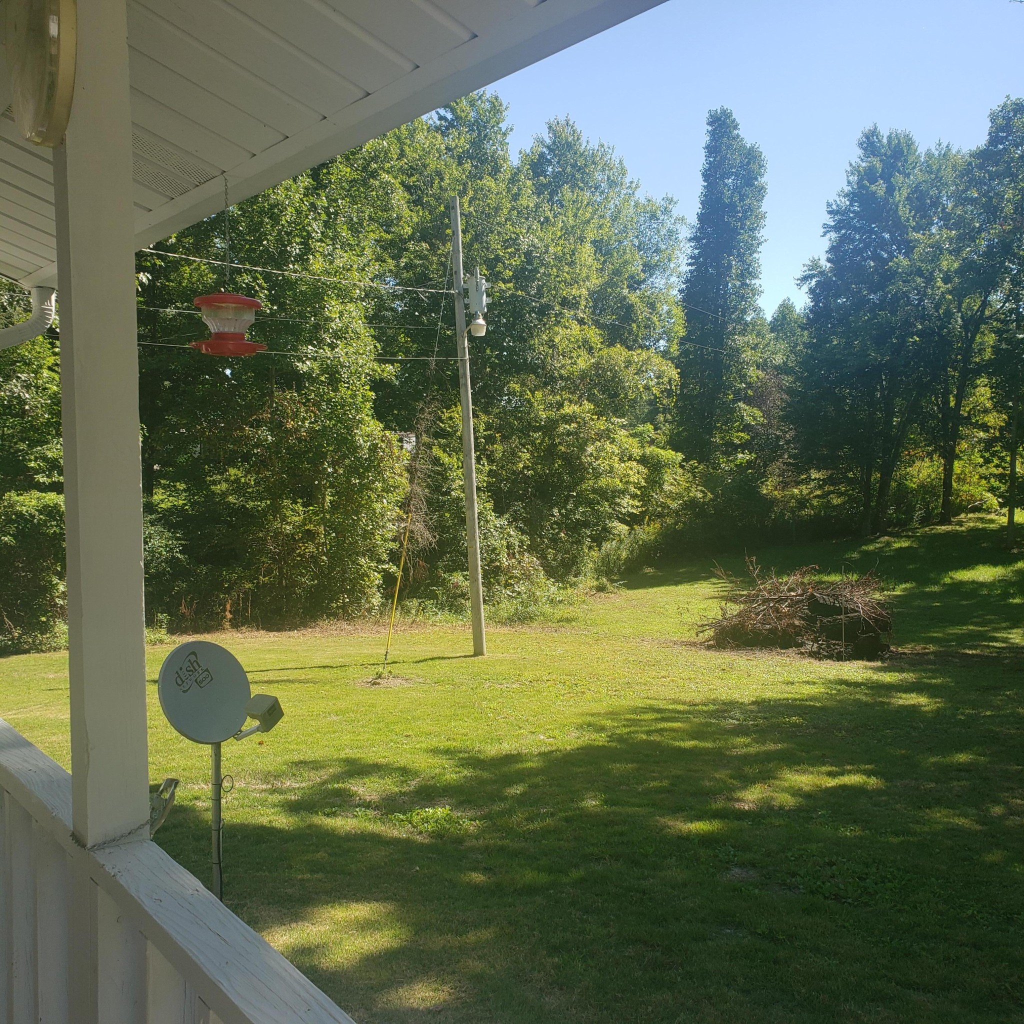 181 Nydeck Road Robbins, TN 37852 - Photo 5 of 19 a view of a garden