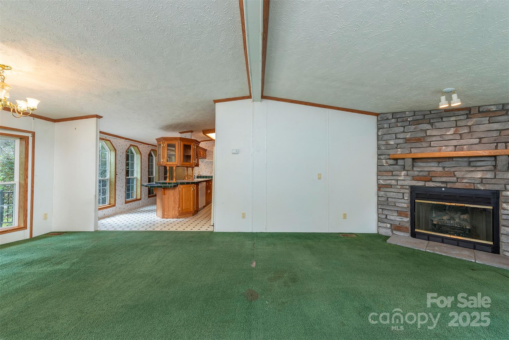103 Sixth Street, Unit ~7&9 Black Mountain, NC 28711 - Photo 11 of 37 a living room with a fireplace
