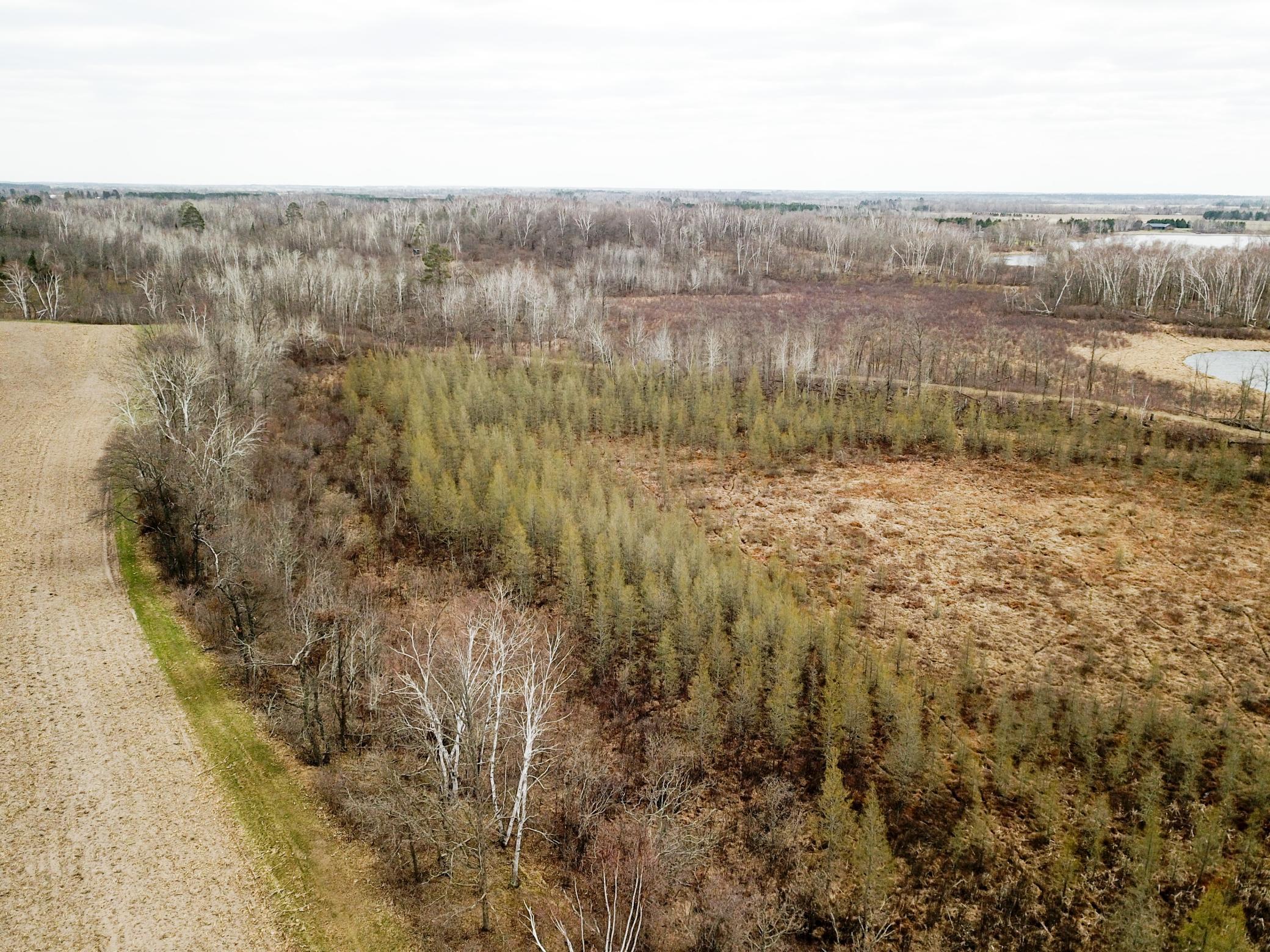 Tbd1 Boot Lake Road Southwest Bemidji, MN 56601 - Photo 11 of 41