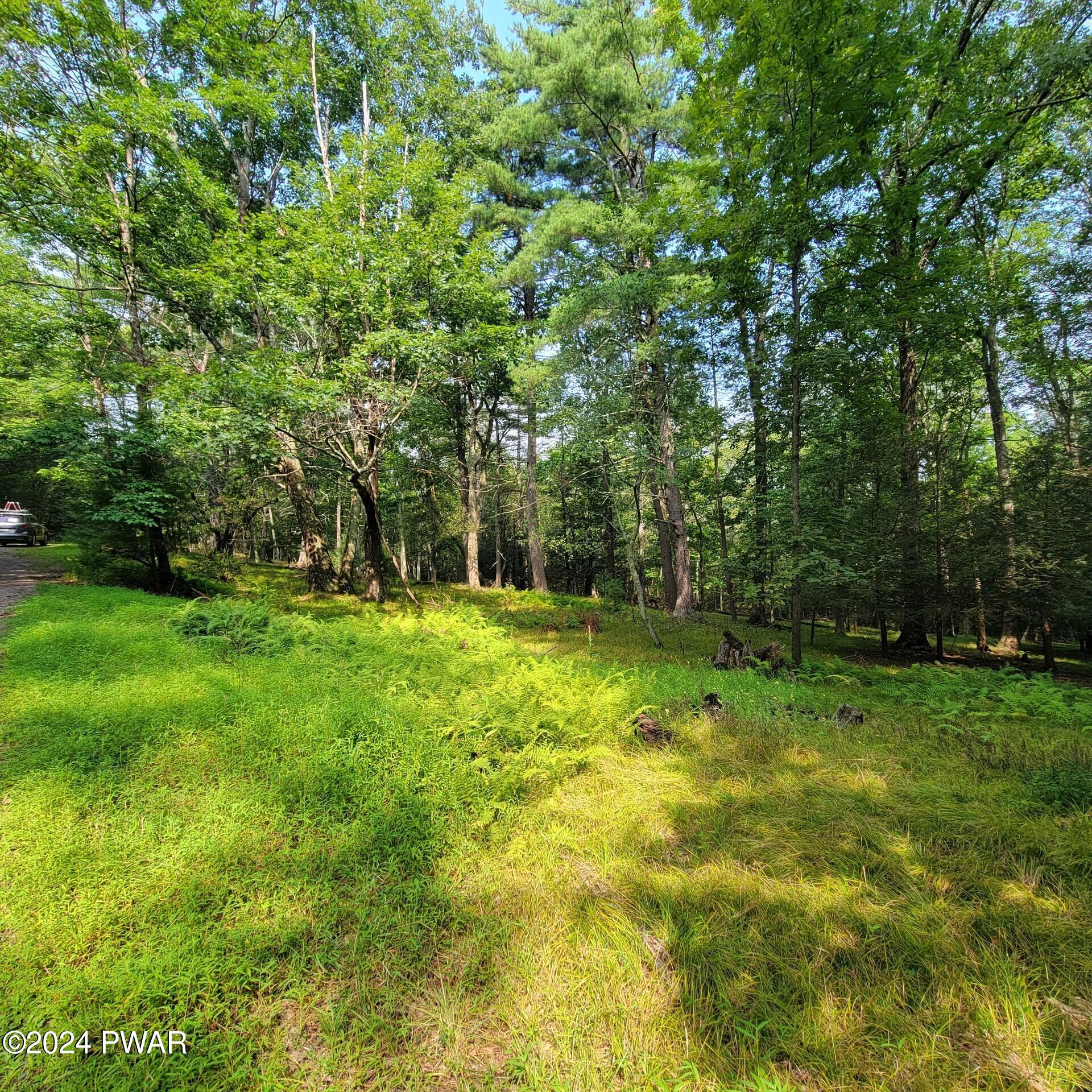 Lot 35 Pine Tree Road Gouldsboro, PA 18424 - Photo 5 of 8