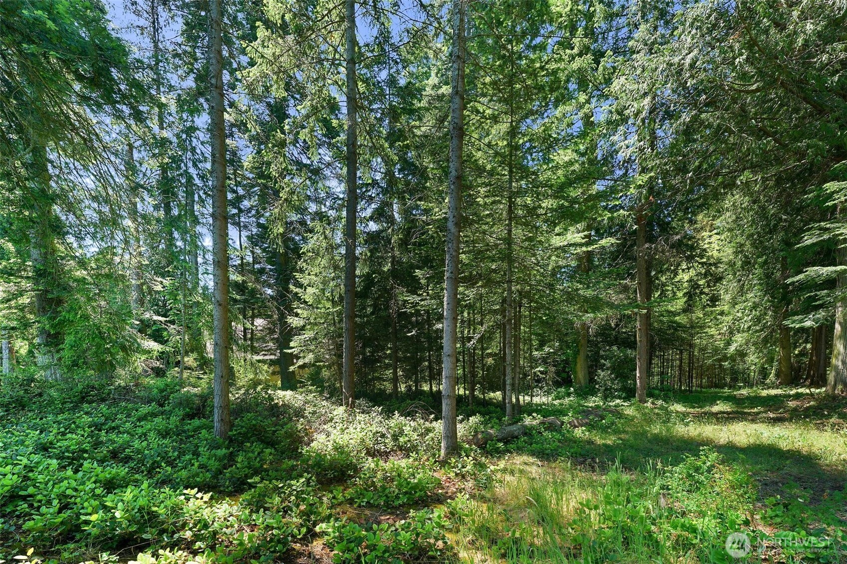 2515 Bretland Road Camano Island, WA 98282 - Photo 11 of 15