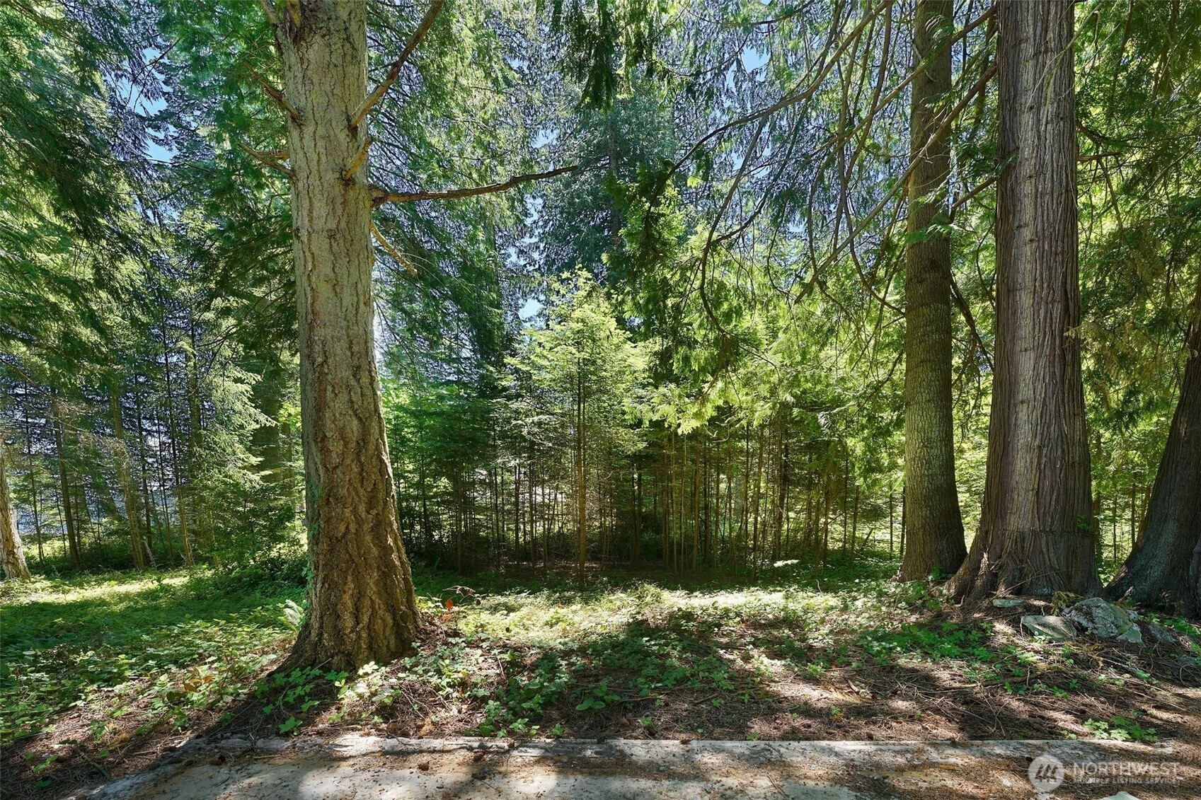 2515 Bretland Road Camano Island, WA 98282 - Photo 14 of 15