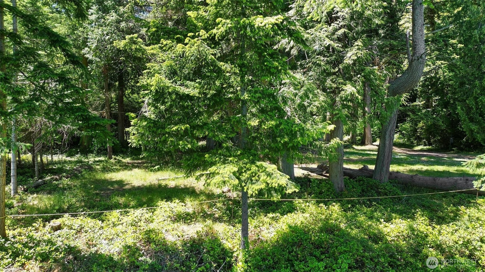 2515 Bretland Road Camano Island, WA 98282 - Photo 8 of 15