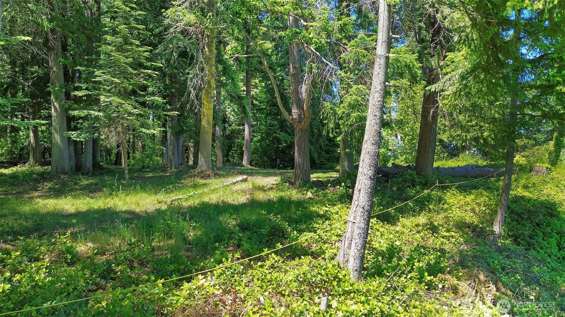 2515 Bretland Road Camano Island, WA 98282 - Photo 9 of 15