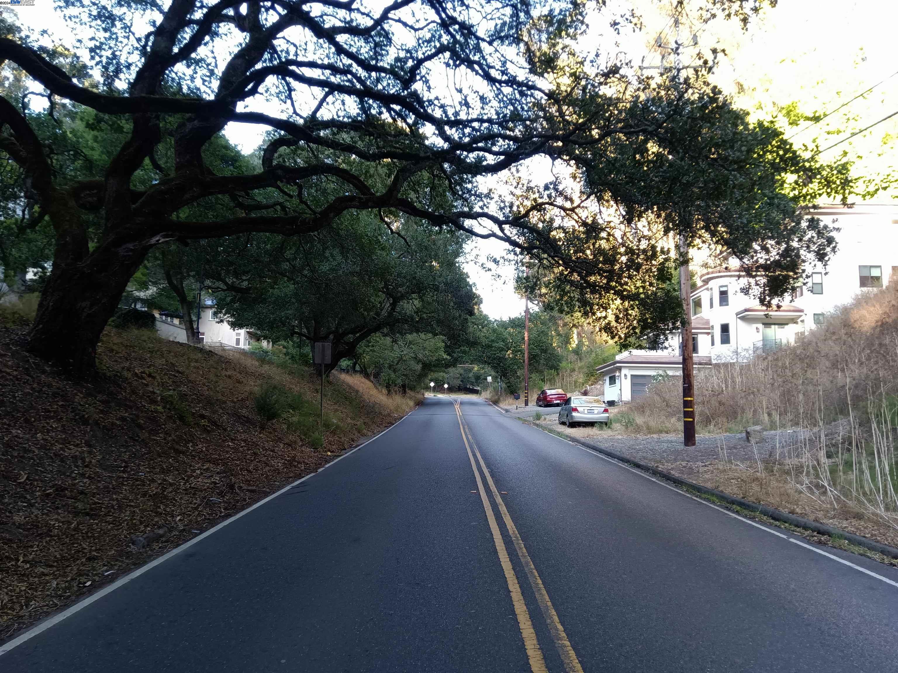 6340 Shepherd Canyon Road Oakland, CA 94611 - Photo 2 of 3 a view of a street with a tree beside