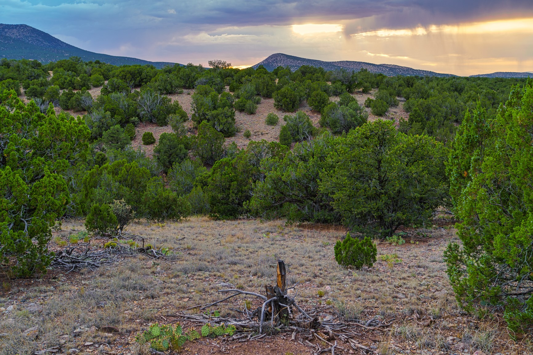 176 Wagon Trail Road Cerrillos, NM 87010 - Photo 22 of 35