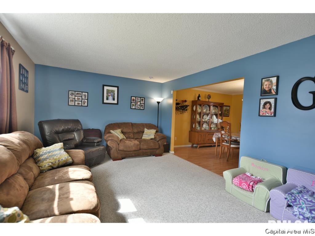 437 Armor Road Springfield, IL 62704 - Photo 14 of 35