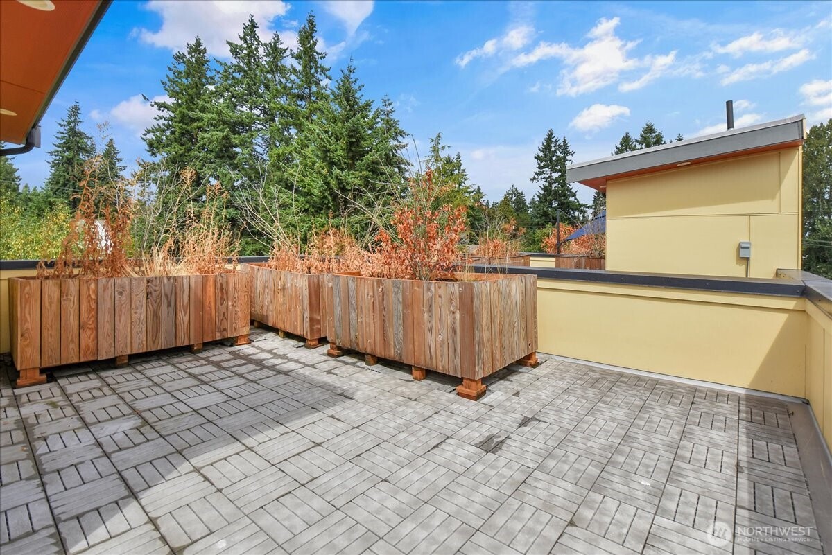 3117 Northeast 133rd Street, Unit D Seattle, WA 98125 - Photo 18 of 22 a view of a backyard
