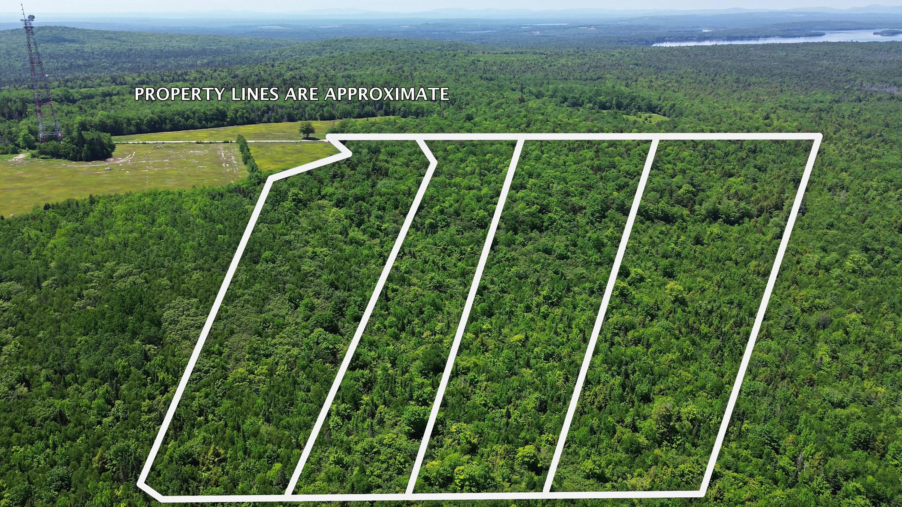 Lot 2 Martins Ridge Road Franklin, ME 04634 - Photo 12 of 12 DJI_0068 - frame at 0m36s