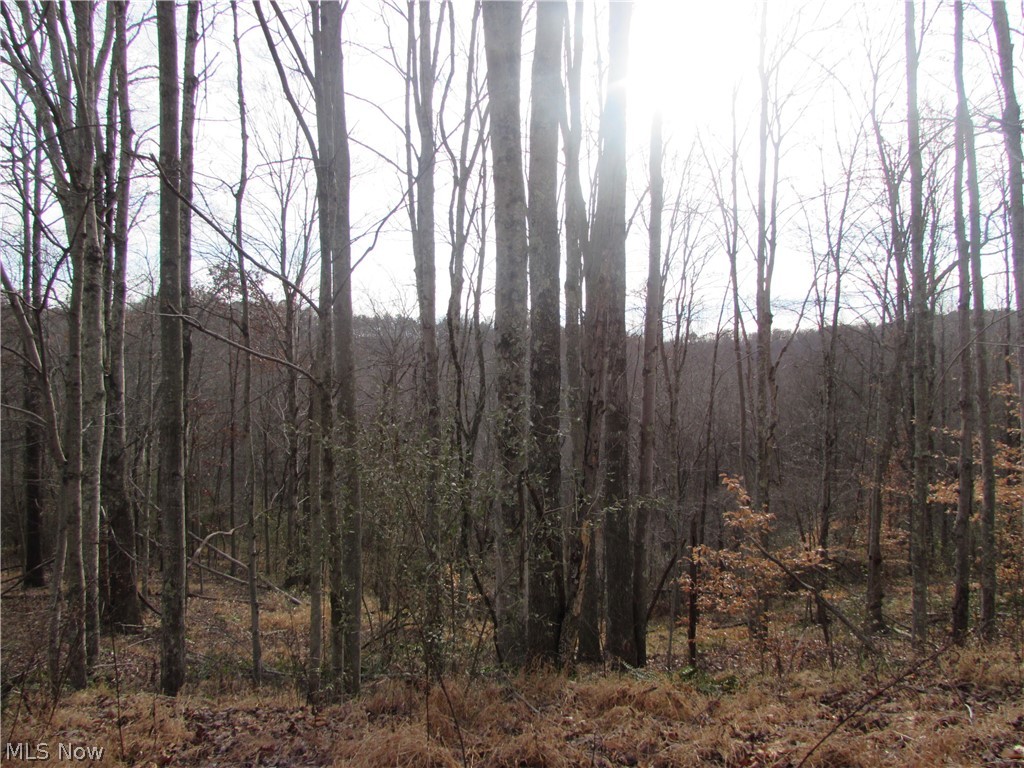 Davis Run Road Pennsboro, WV 26415 - Photo 10 of 14 Gallery Image 10