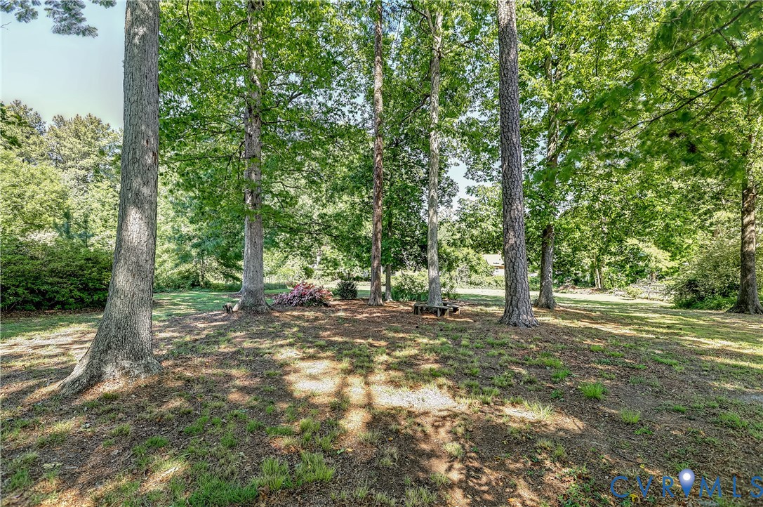 1817 Pocoshock Boulevard North Chesterfield, VA 23235 - Photo 2 of 41 a view of a tree in the middle of a yard