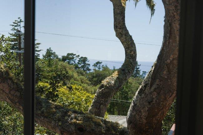 24390 San Marcos Road Carmel, CA 93923 - Photo 37 of 46