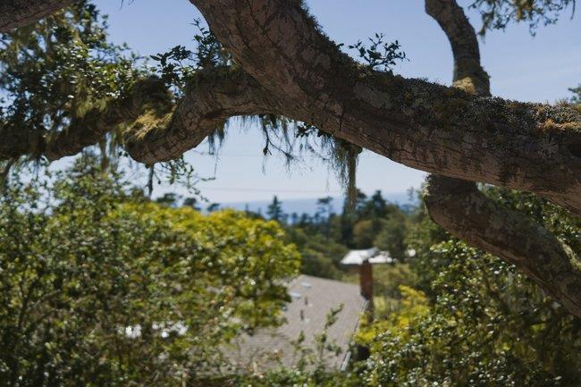 24390 San Marcos Road Carmel, CA 93923 - Photo 39 of 46