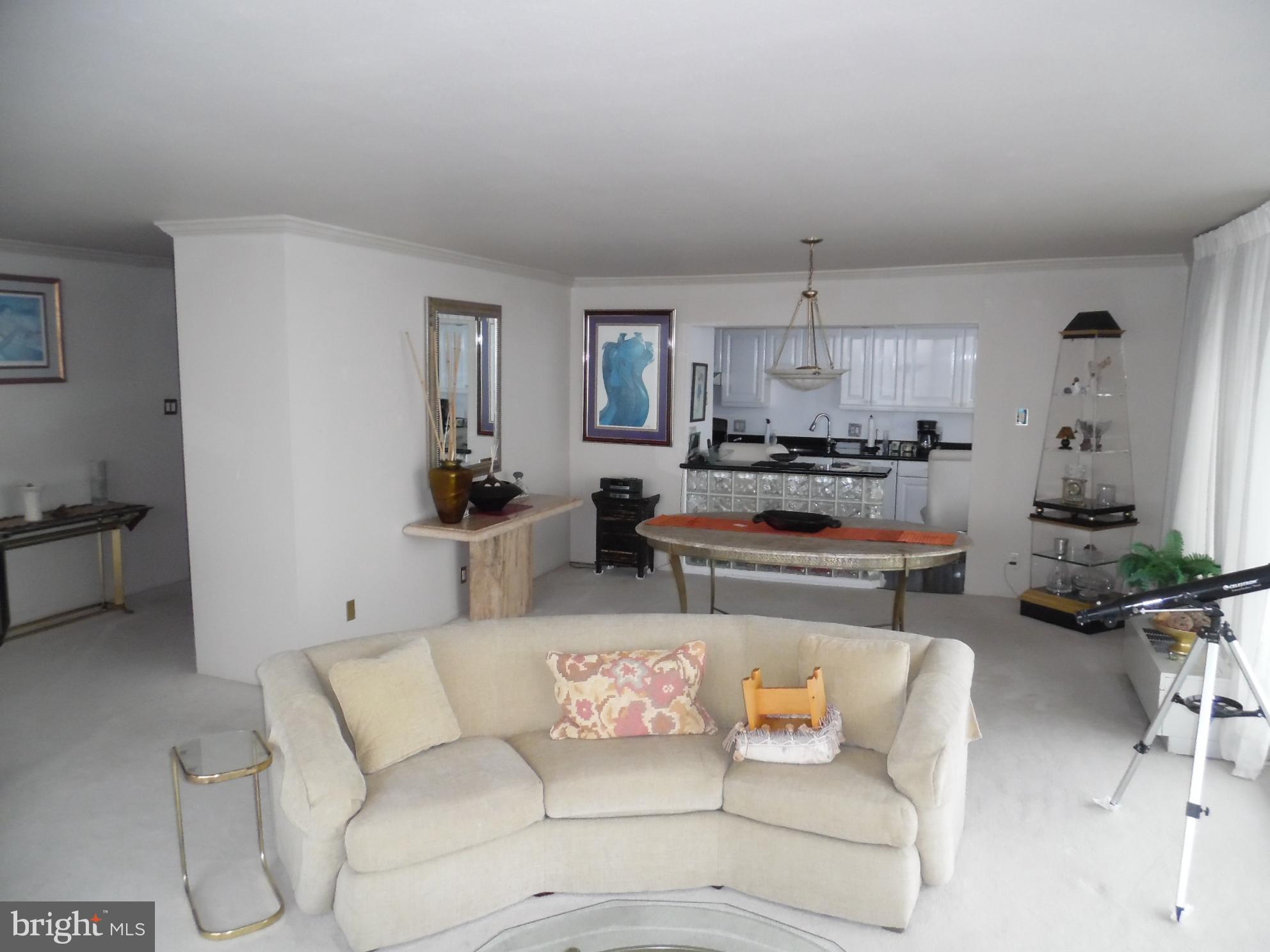 3900 West Ford Road, Unit 16E Philadelphia, PA 19131 - Photo 7 of 40