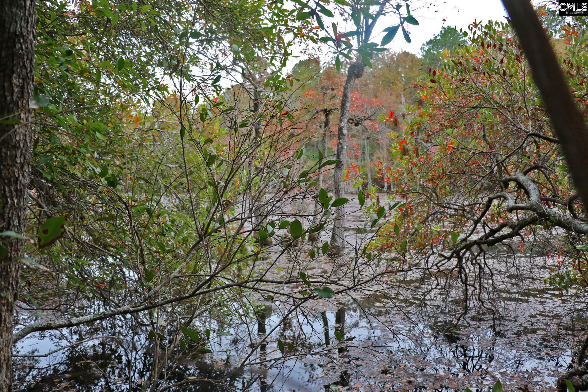 Tbd Browns Pond Road Wagener, SC 29164 - Photo 34 of 48