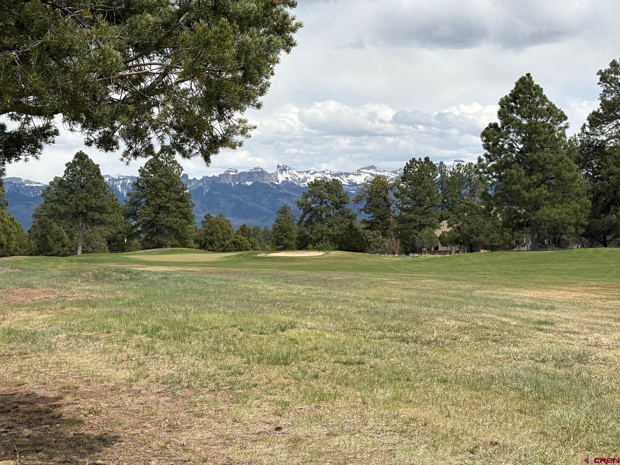 1695 Marmot Drive Ridgway, CO 81432 - Photo 1 of 11 a view of a field with an trees