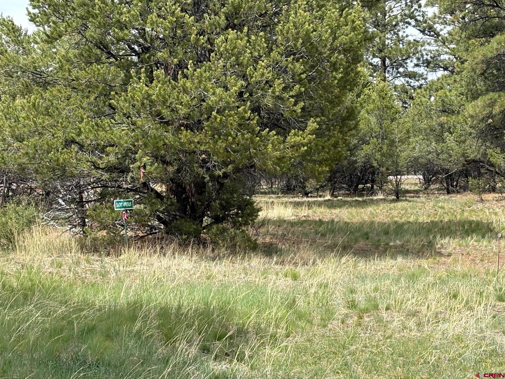 1695 Marmot Drive Ridgway, CO 81432 - Photo 3 of 11 a view of a yard with a tree