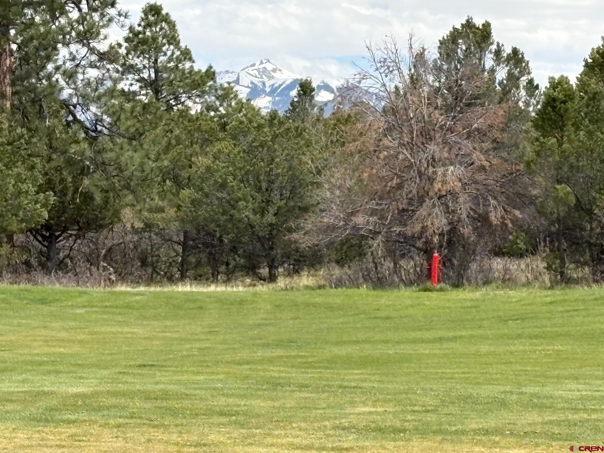 1695 Marmot Drive Ridgway, CO 81432 - Photo 5 of 11 a view of building with trees in the background