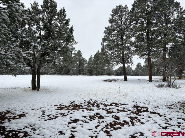 1695 Marmot Drive Ridgway, CO 81432 - Photo 6 of 11 a view of outdoor space with trees
