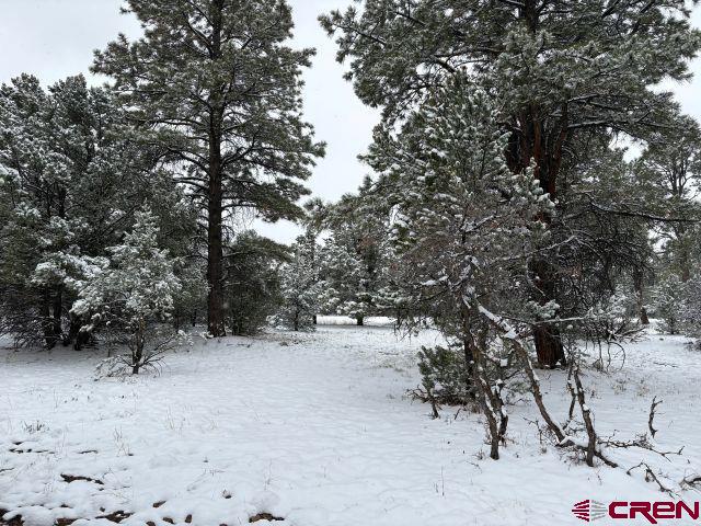 1695 Marmot Drive Ridgway, CO 81432 - Photo 7 of 11 a view of outdoor space with trees