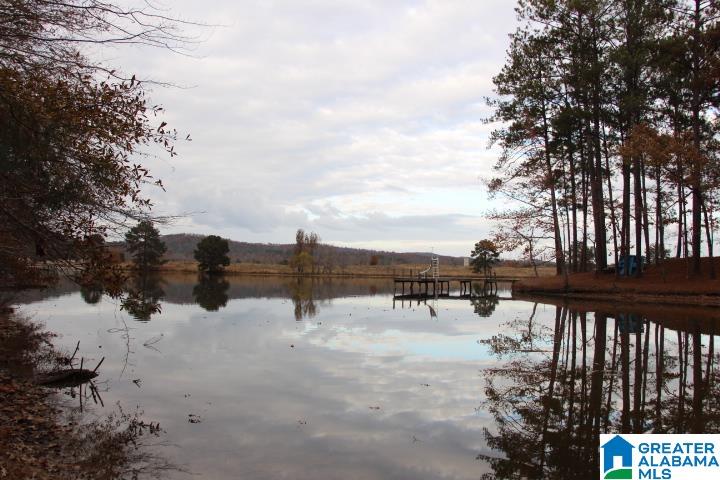 77 Rd Ohatchee, AL 36271 - Photo 15 of 24
