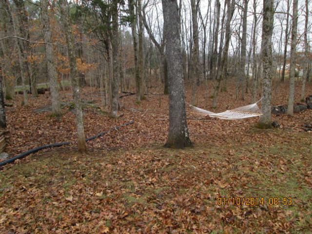 3430 Riverview Road Lewisburg, TN 37091 - Photo 10 of 10 Backyard