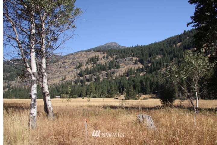 50 Trailside Road Mazama, WA 98833 - Photo 1 of 1 Gallery Image 1